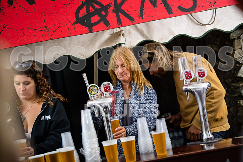 Vale Earth Fair 2020_THE SCENE-109 - VALE EARTH FAIR 2020_THE SCENE