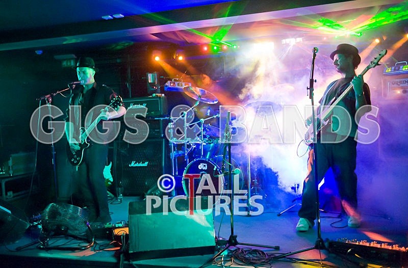 Peppered Ant Legs-88 - PEPPERED ANT LEGS