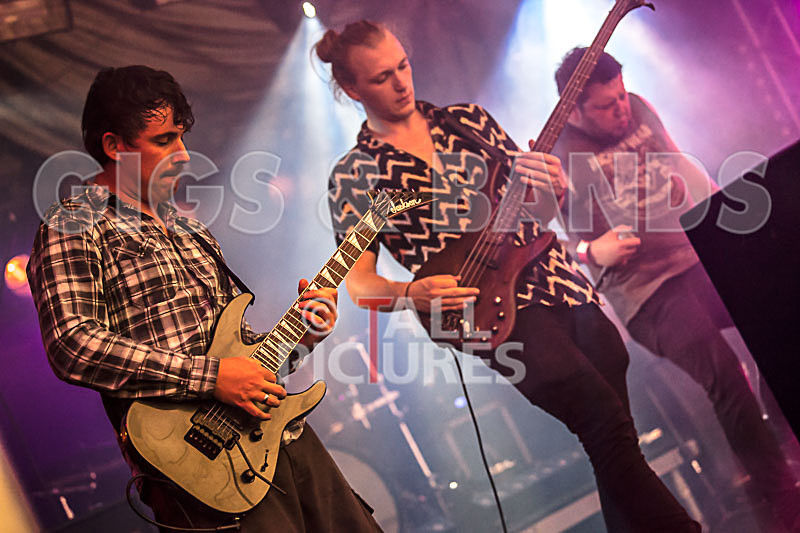 Granite Wolf-14 - GRANITE WOLF