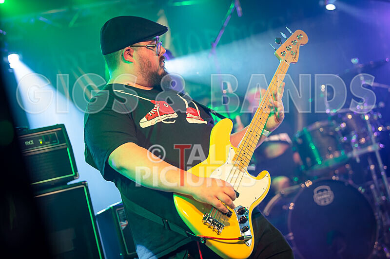 Foxy Stoat Seeks Pig-30 - FOXY STOAT SEEKS PIG