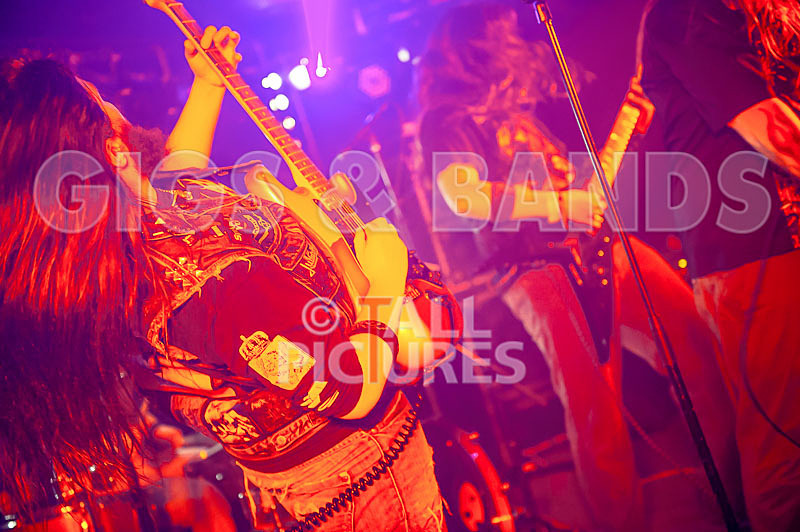 Stone Em All-256 - STONE EM ALL