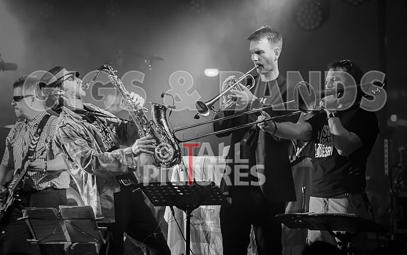 Sons of the Desert-283 - SONS OF THE DESERT