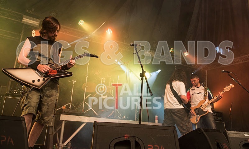 Chaos 2013_Demise of Sanity-7 - DEMISE OF SANITY