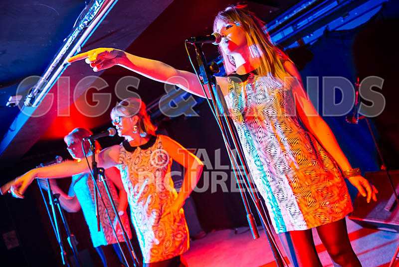 The Blondettes-3 - THE BLONDETTES