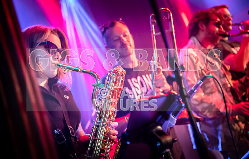 Sons of the Desert-400 - SONS OF THE DESERT