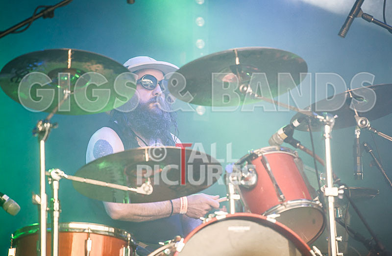 Peppered Ant Legs-257 - PEPPERED ANT LEGS