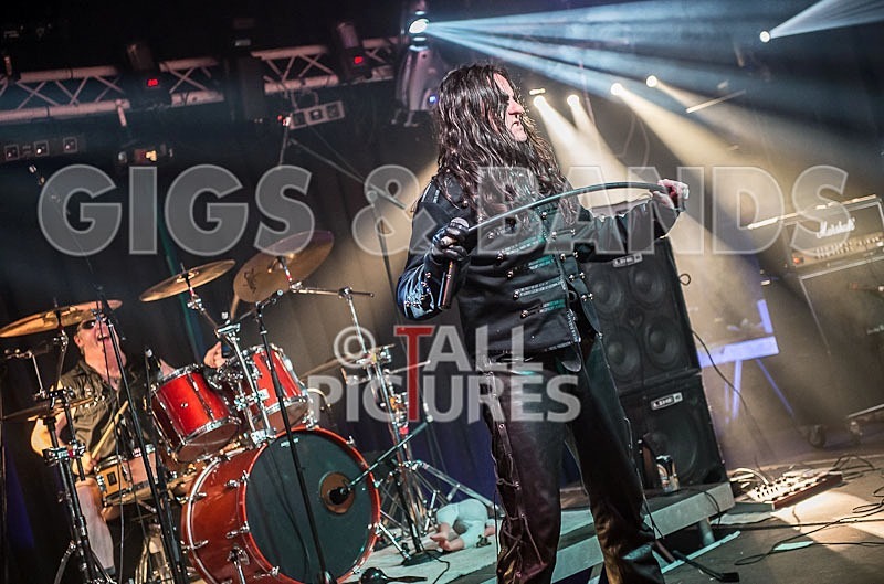 Gallus Cooper-47 - GALLUS COOPER