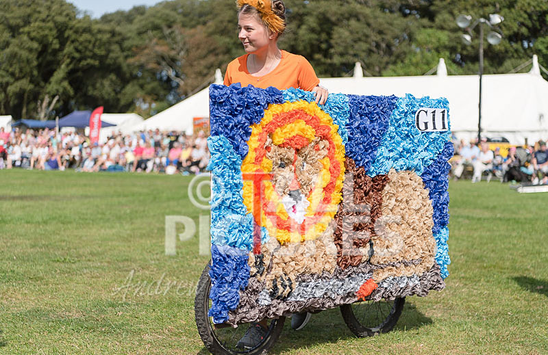 North Show 2017-67 - NORTH SHOW 2017