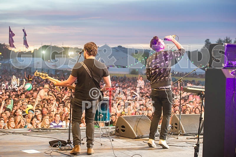 Bastille-17 - BASTILLE