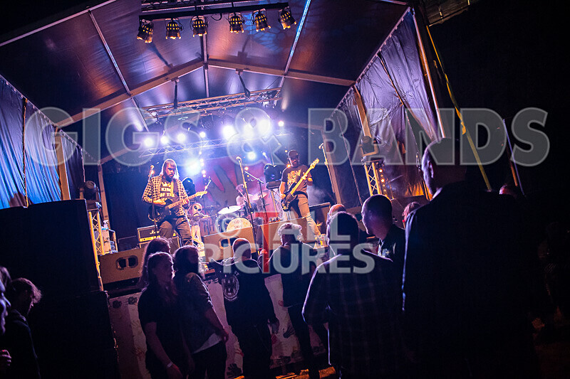 To the Woods-441 - TO THE WOODS