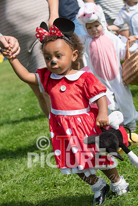 North Show 2017-8 - NORTH SHOW 2017