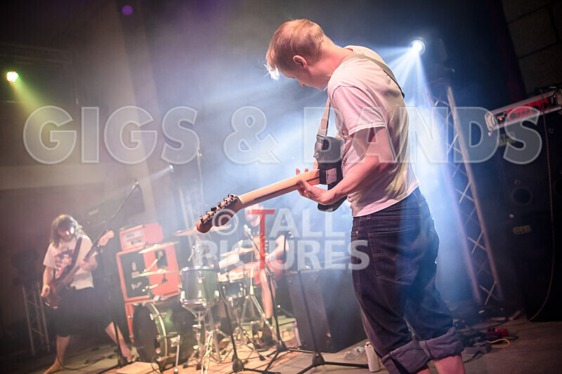 Pigsx7-69 - PIGS PIGS PIGS PIGS PIGS PIGS PIGS