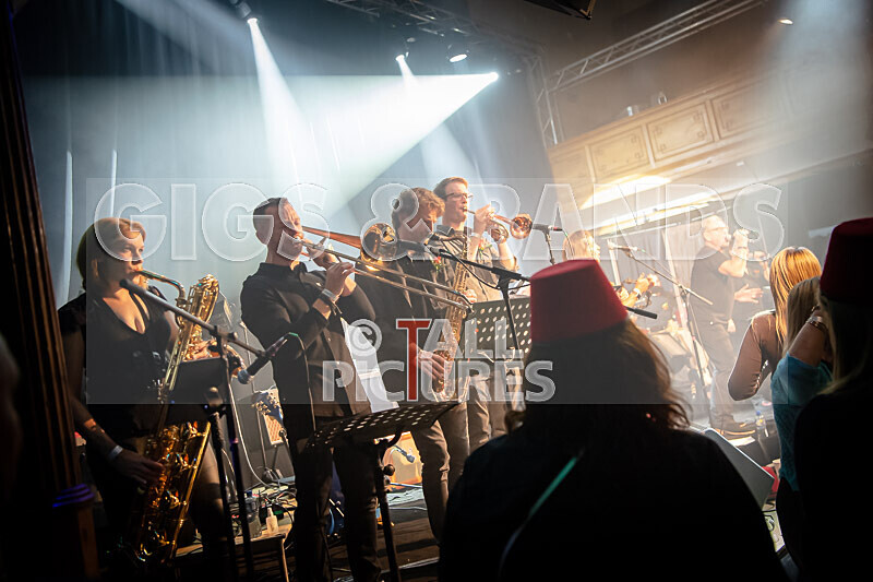 King Rat  the Soul Cats-500 - KING RAT & THE SOUL CATS