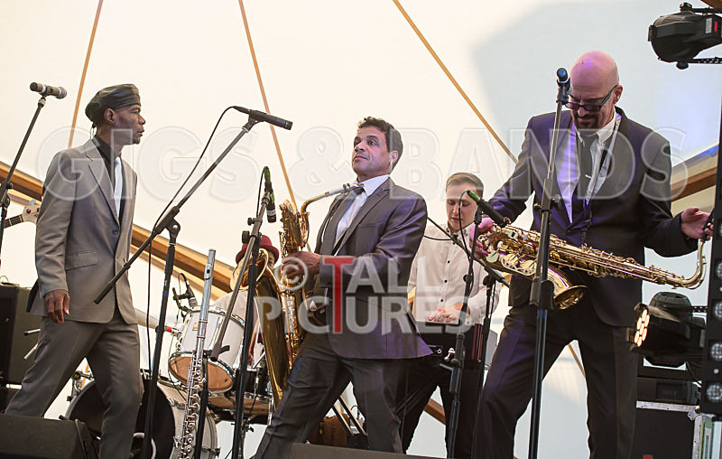 The Selecter-86 - THE SELECTER