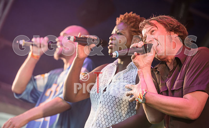 The Dynamics-8 - THE DYNAMICS