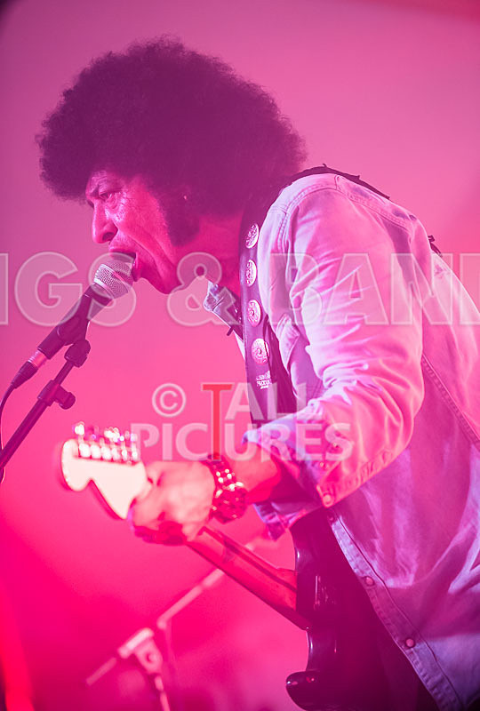 Mungo Jerry-25 - MUNGO JERRY