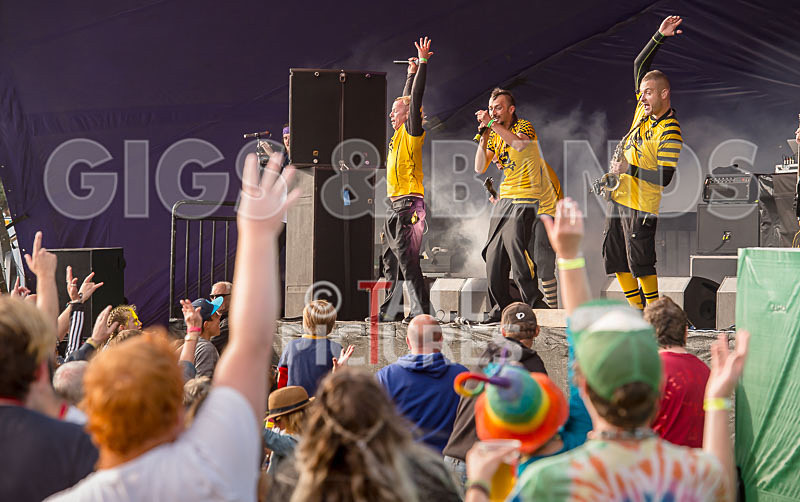 Dubioza Kolektiv-48 - DUBIOZA KOLEKTIV