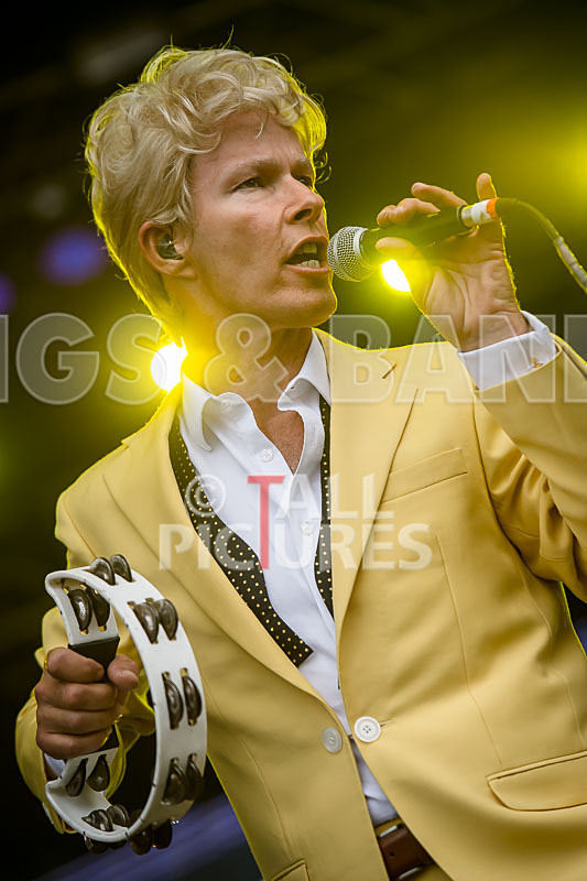 Absolute Bowie-32 - ABSOLUTE BOWIE