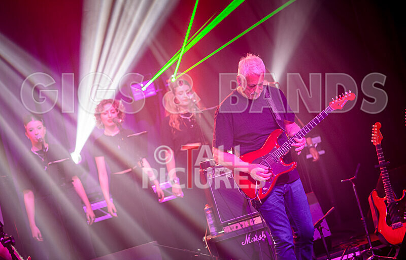 Elysium as Pink Floyd-274 - ELYSIUM as PINK FLOYD