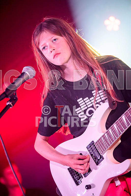 The Flaming Flamingos-26 - THE FLAMING FLAMINGOES