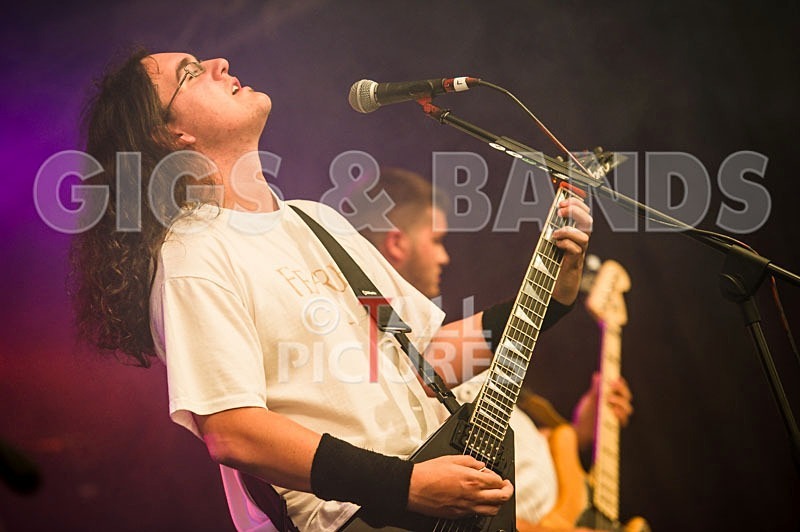 Chaos 2013_Demise of Sanity-4 - DEMISE OF SANITY