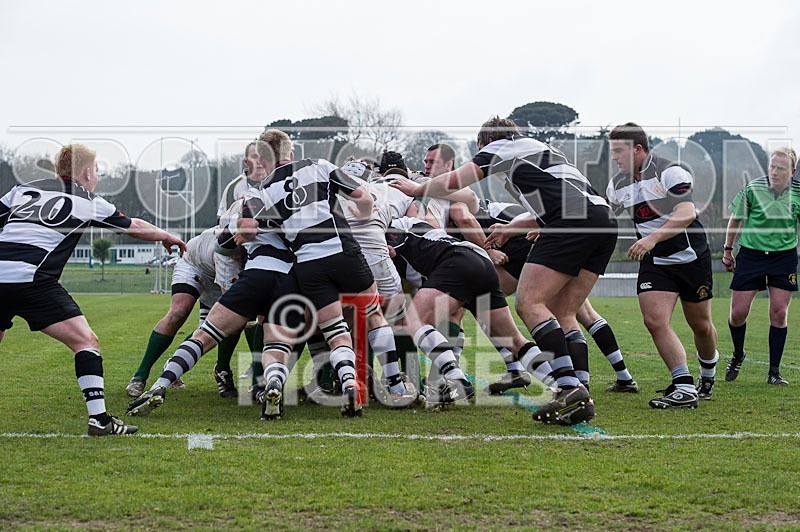 Rugby_Guernsey v Sutton  Epsom-1 - GUERNSEY v SUTTON & EPSOM RFC