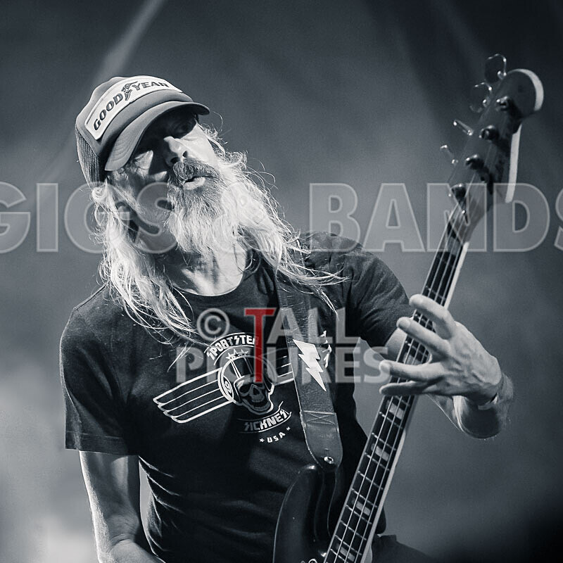 The Electric Shakes-209 - THE ELECTRIC SHAKES