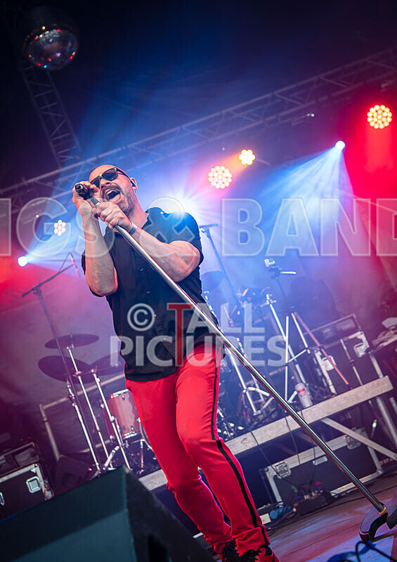 The Rubix-137 - THE RUBIX