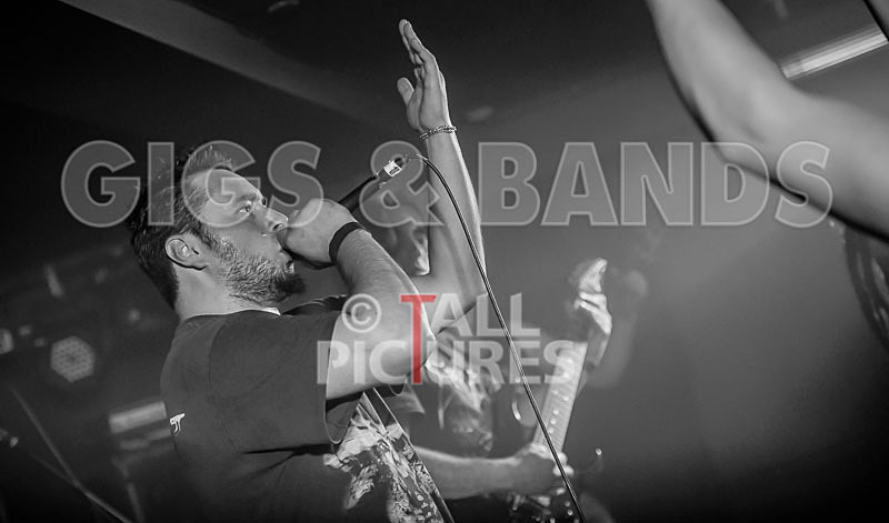 Masticated-41 - MASTICATED