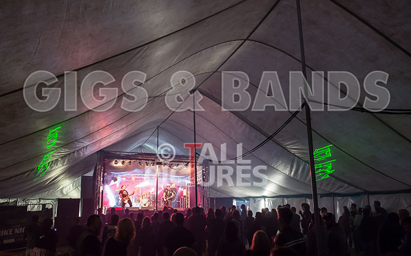 The Electric Shakes-103 - THE ELECTRIC SHAKES