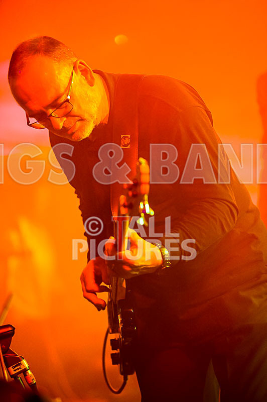 King Rat the Soul Cats-369 - KING RAT AND THE SOUL CATS