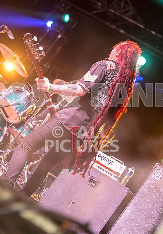 Levellers-80 - LEVELLERS