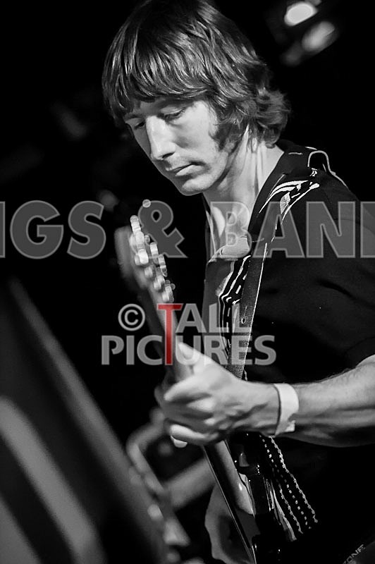 Benny the Moth-50 - BENNY THE MOTH