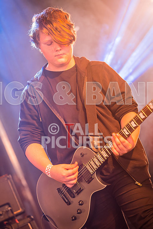 The Violet Diversion-19 - THE VIOLET DIVERSION