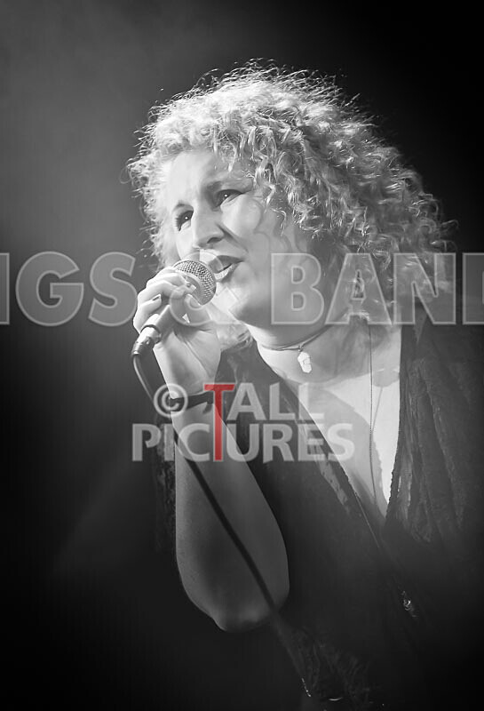 Jo Marsh-7 - THE GUESTS