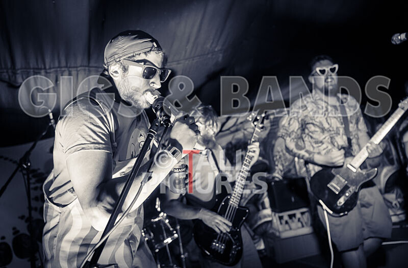 Honest Crooks-254 - HONEST CROOKS