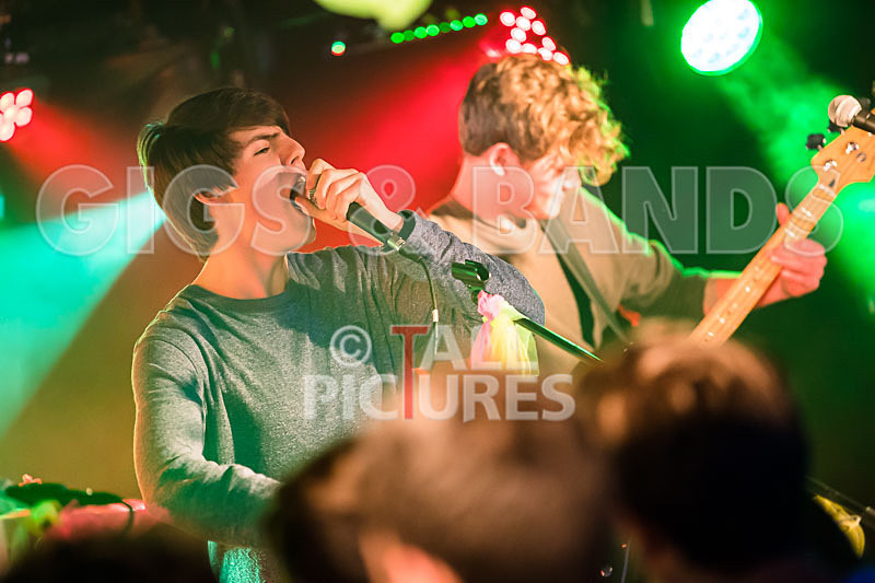 Isle Stone-31 - ISLE STONE