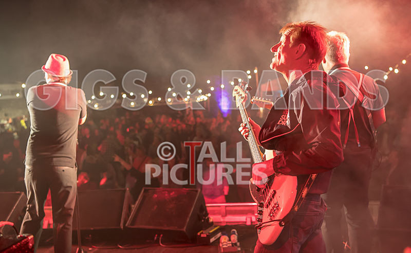 Sons of the Desert-339 - SONS OF THE DESERT