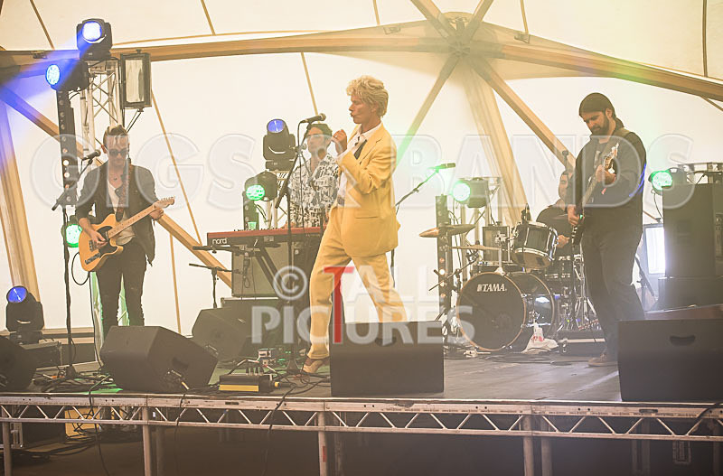 Absolute Bowie-65 - ABSOLUTE BOWIE