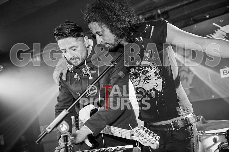 Harlequin Knights-19 - HARLEQUIN KNIGHTS