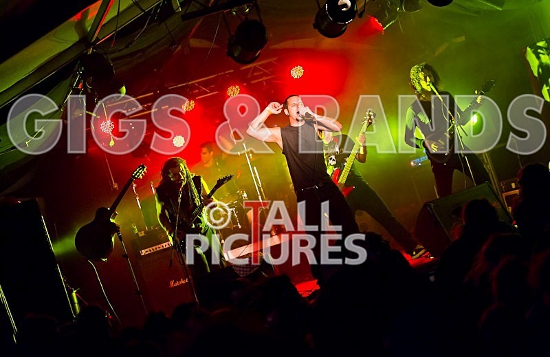 Breed77-18 - BREED77