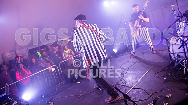 The Smooth Hounds-33 - THE SMOOTH HOUNDS