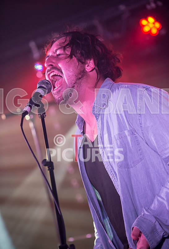 Tropical Zombie-1 - TROPICAL ZOMBIE