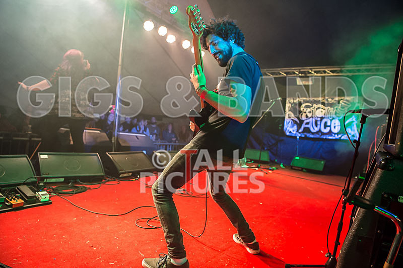 Static Alice-457 - STATIC ALICE