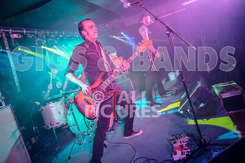 The Electric Shakes-140 - THE ELECTRIC SHAKES