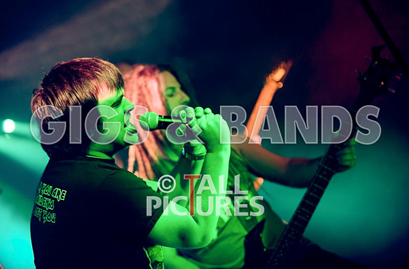 Maiden Guernsey-78 - MAIDEN GUERNSEY at RoA-2