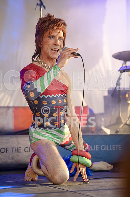 The Bowie Experience-53 - THE BOWIE EXPERIENCE