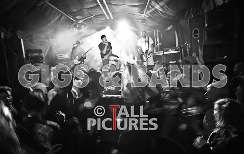 Spunge-14 - [spunge]