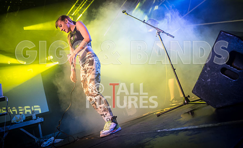 FireFarm-32 - FIREFARM