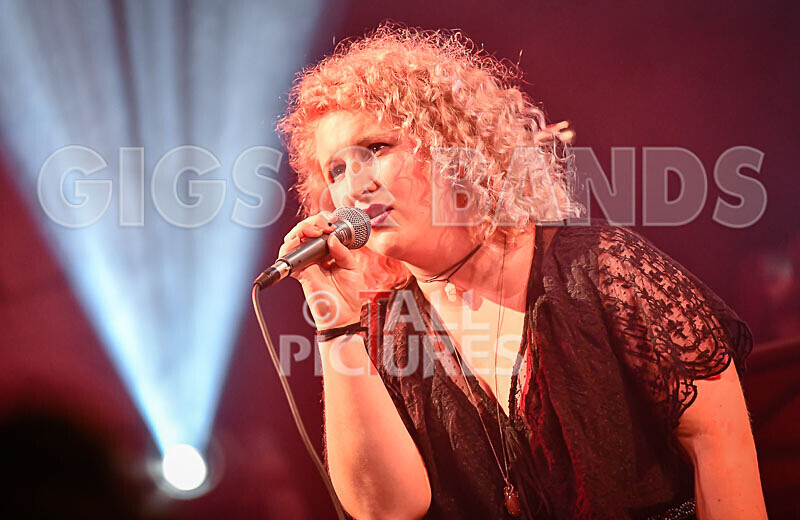 Jo Marsh-2 - THE GUESTS